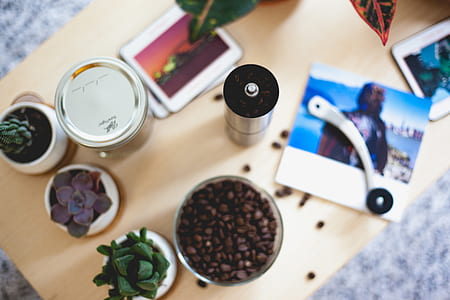 coffee beans in glass bowl near succulent plants thumbnail