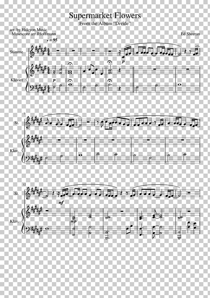 Supermarket Flowers Ed Sheeran Chords No Capo Best Flower Site