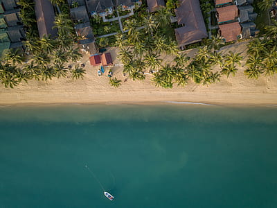 white boat on body of water near seashore thumbnail