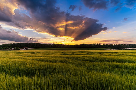 photo of green grass field during sunrise thumbnail