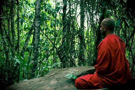 man in red suit meditating surrounded with trees thumbnail