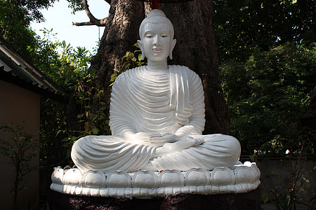 Gautama statue beside tree thumbnail