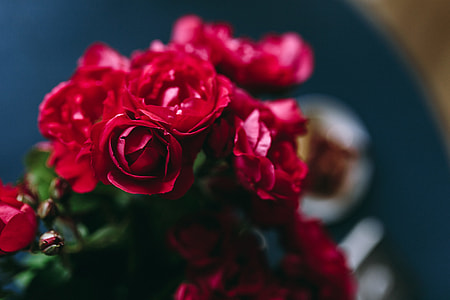 Lovely workplace with red roses thumbnail