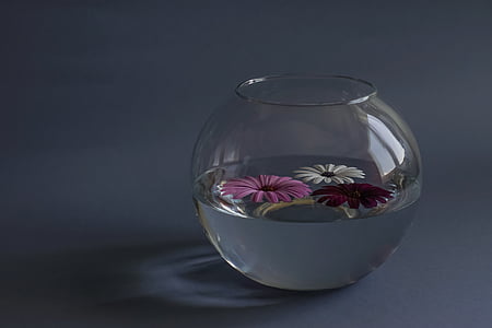 filled clear glass fish bowl thumbnail