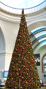 Christmas tree inside building thumbnail