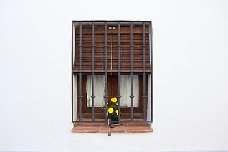 yellow sunflowers displayed on window thumbnail