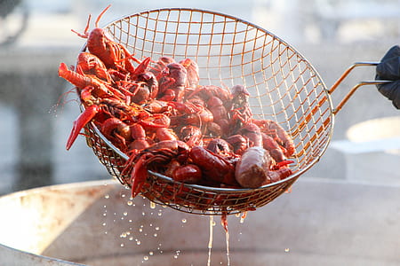 shrimp on strainer thumbnail