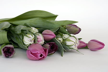 pink tulips bouquet thumbnail