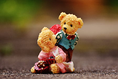 selective focus photography of couple bears figurines on ground thumbnail