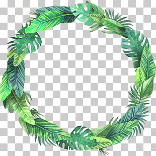 Leaf Euclidean , Summer bush leaves, green leaf crown against blue background PNG clipart