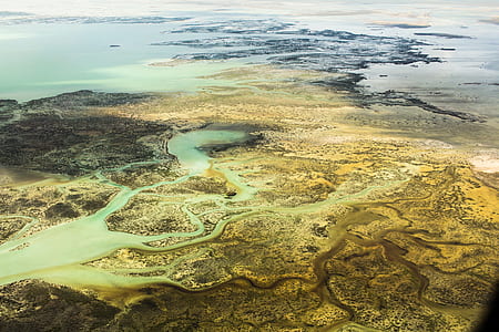 aerial photography of swamp and marsh thumbnail
