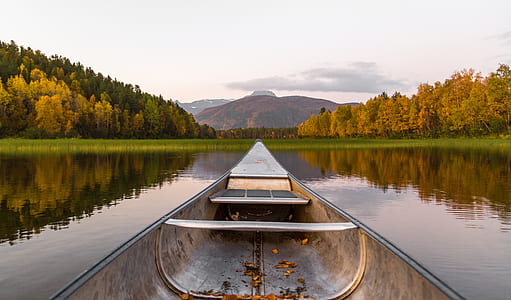 white and gray boat floating on body of water thumbnail