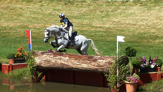 person riding horse during daytime thumbnail