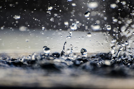 time lapse photography of water dew thumbnail