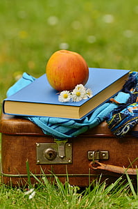 luggage-old-leather-suitcase-nostalgia-t