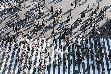 people walking on pedestrian lane aerial photography thumbnail