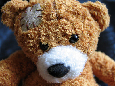 close-up photo of brown bear plush toy thumbnail