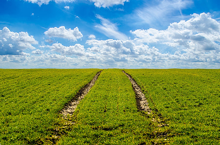 green grass field under blue sky thumbnail