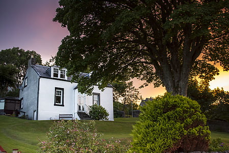 white house near tree thumbnail