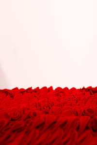 Red Textile thumbnail