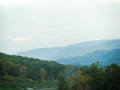 photo of trees and mountains during daytime thumbnail