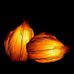 two orange leaf lamps thumbnail