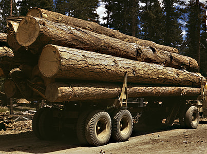 Pine Logs on a truck in Burns, Oregon thumbnail
