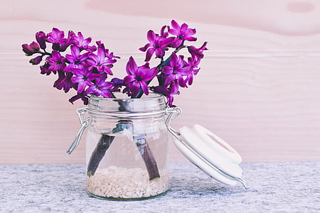 purple petaled flowers on clear jar thumbnail