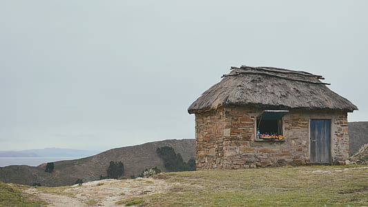 brown concrete house thumbnail