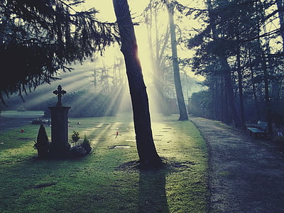 graveyard during sunshine thumbnail
