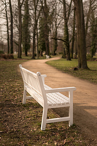 white wooden bench beside dirt path thumbnail