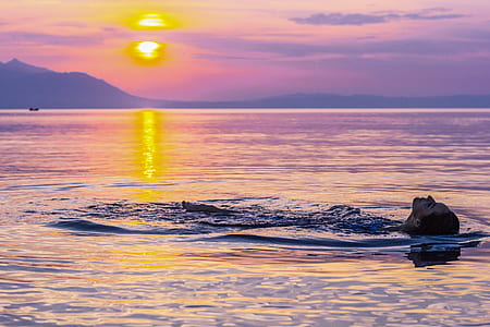 person floating on water by the setting of the sun thumbnail