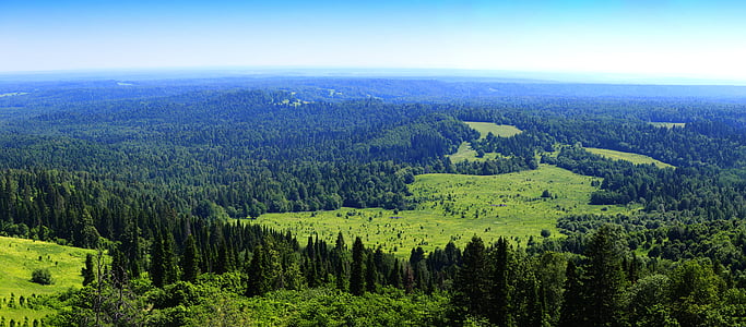 green leafed trees during daytime thumbnail