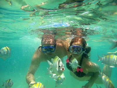 two man and woman snorkeling underwater thumbnail