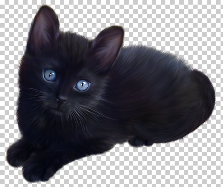 Page 267 8 631 Short Hair Png Cliparts For Free Download Uihere
