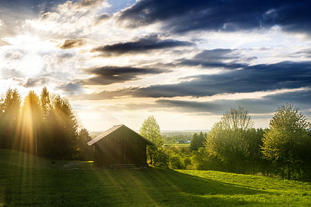 brown wooden house near tall trees taken under white clouds during daytime thumbnail