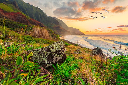 photography of sea and mountain thumbnail