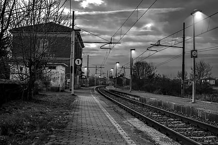 Railroad Tracks by Bare Trees Against Sky thumbnail