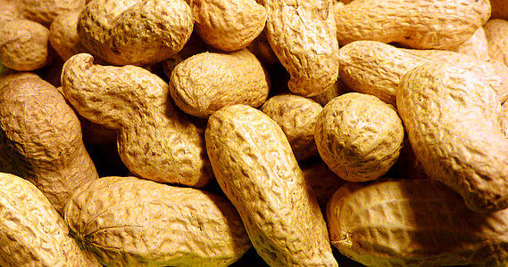 bunch of peanuts thumbnail