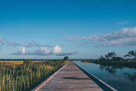 brown wooden dock bridge beside body of water and grass thumbnail