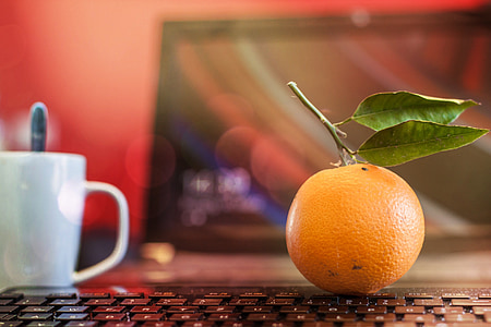 shallow focus photography of orange citrus fruit thumbnail