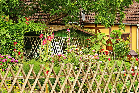 pink flowering garden thumbnail