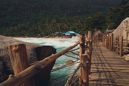 Brown Wooden Footbridge Beside Body Of Water thumbnail