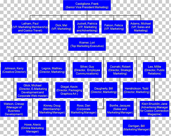 Costco Org Chart