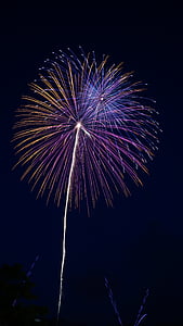 low-angle photo of fireworks at night thumbnail