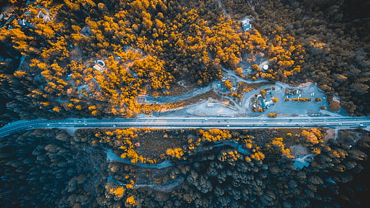 aerial photograph of a road thumbnail