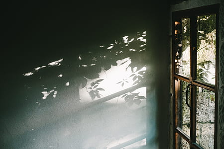 sun piercing through closed 4-lite window pane thumbnail