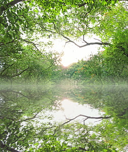 landscape photography of body of water surrounded by trees with water reflection thumbnail