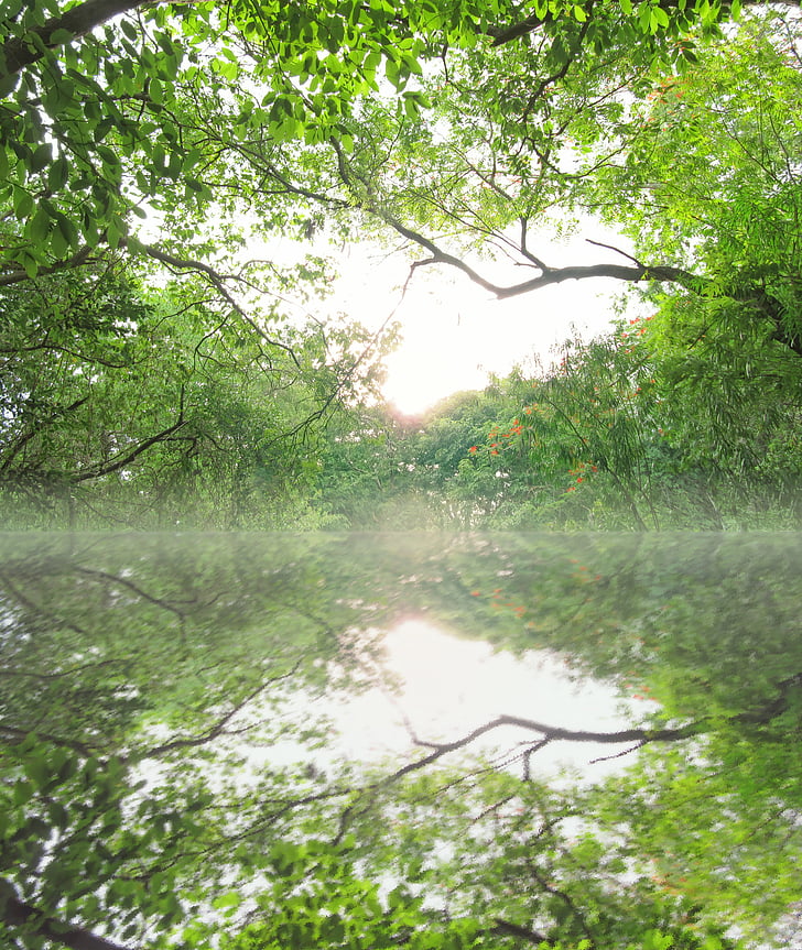 landscape-luxuriant-fine-weather-river.jpg