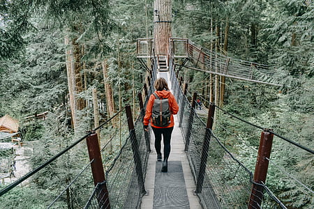 person walking on bridge thumbnail